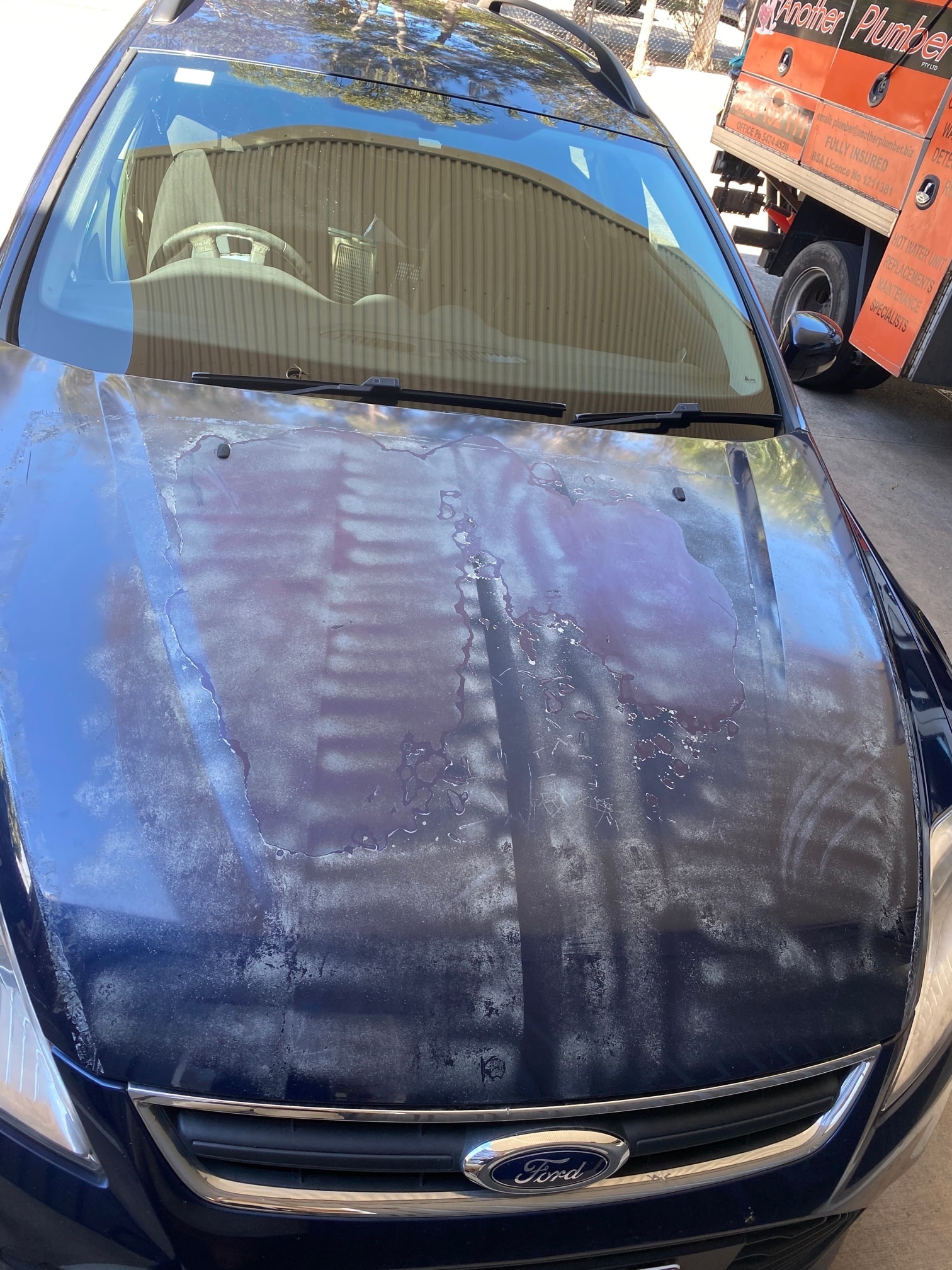 Before — Bonnet paint fade